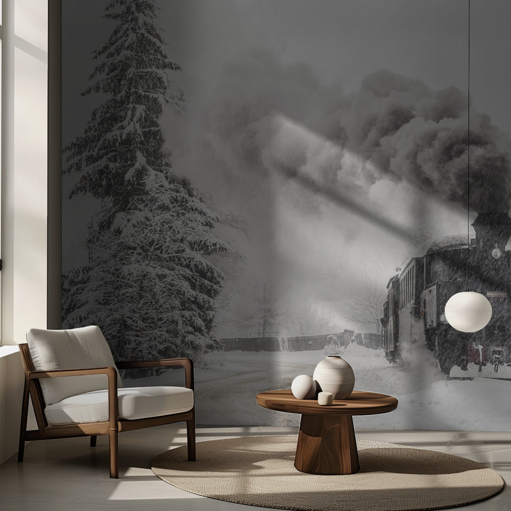 Zimowa opowieść | Fototapeta