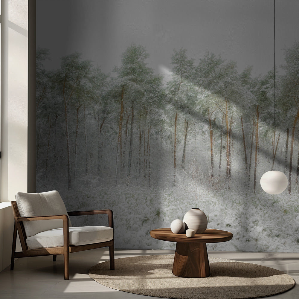 Mundo de nieve | Papel Pintado Fotográfico