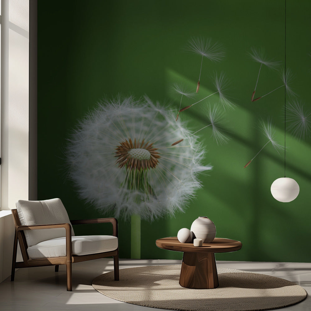 Diente de león soplando | Papel Pintado Fotográfico