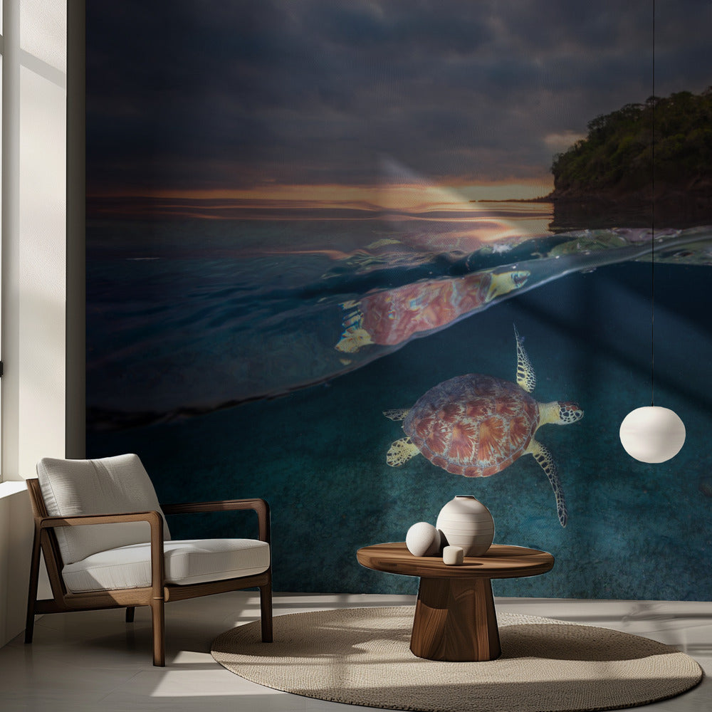 Tortuga verde con puesta de sol | Papel Pintado Fotográfico