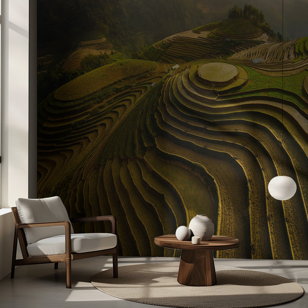 Mu Cang Chai - Vietnam | Fototapeter