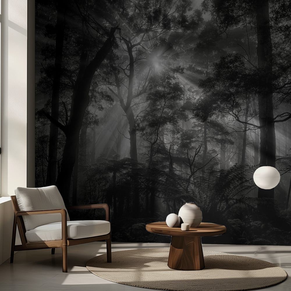 Forêt primaire | Papier Peint Photo