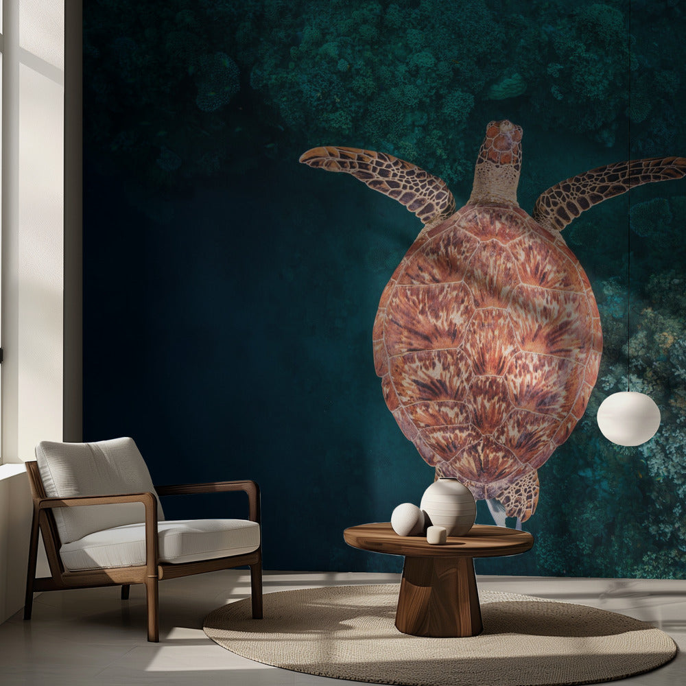 Volando sobre el arrecife | Papel Pintado Fotográfico