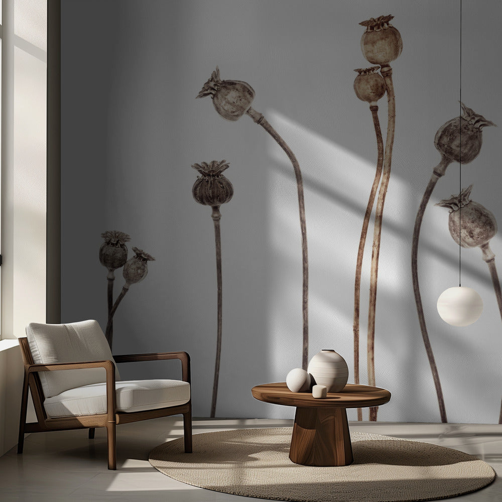 Amapolas | Papel Pintado Fotográfico