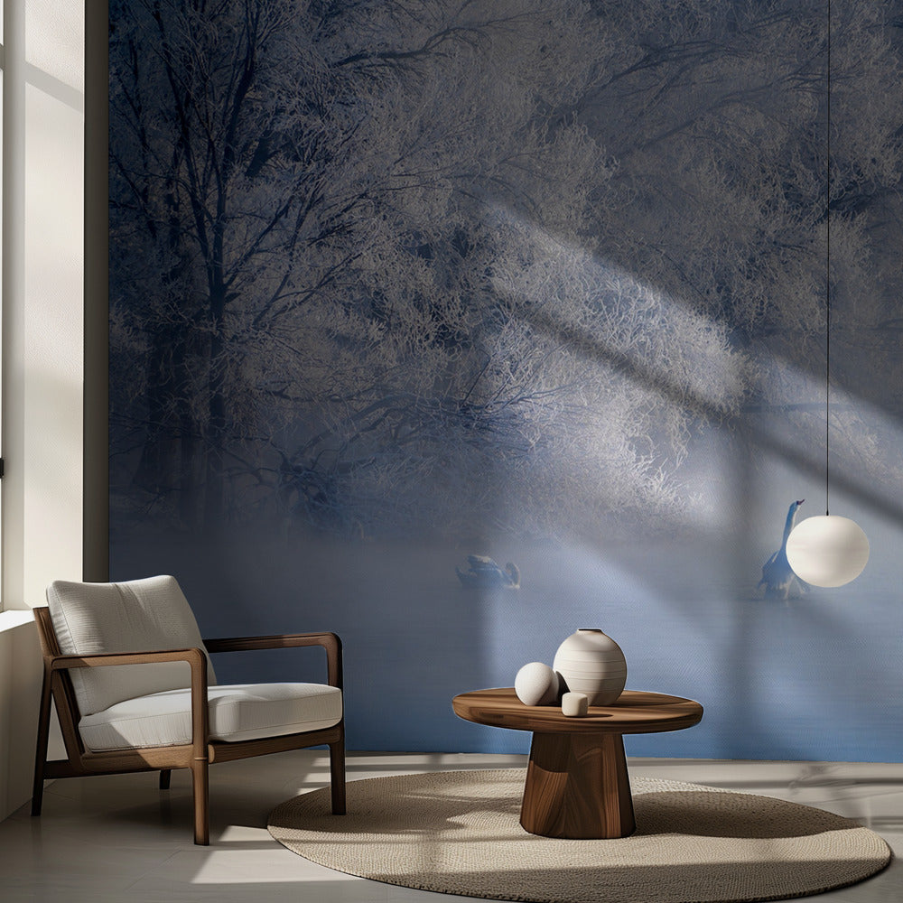 El lago de los cisnes | Papel Pintado Fotográfico