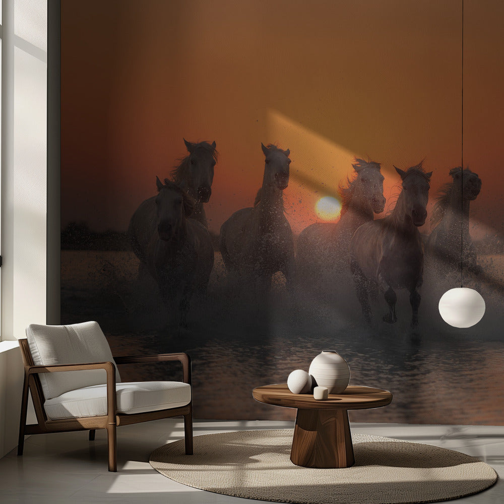 Auringonlasku Camarguessa | Valokuvatapetit