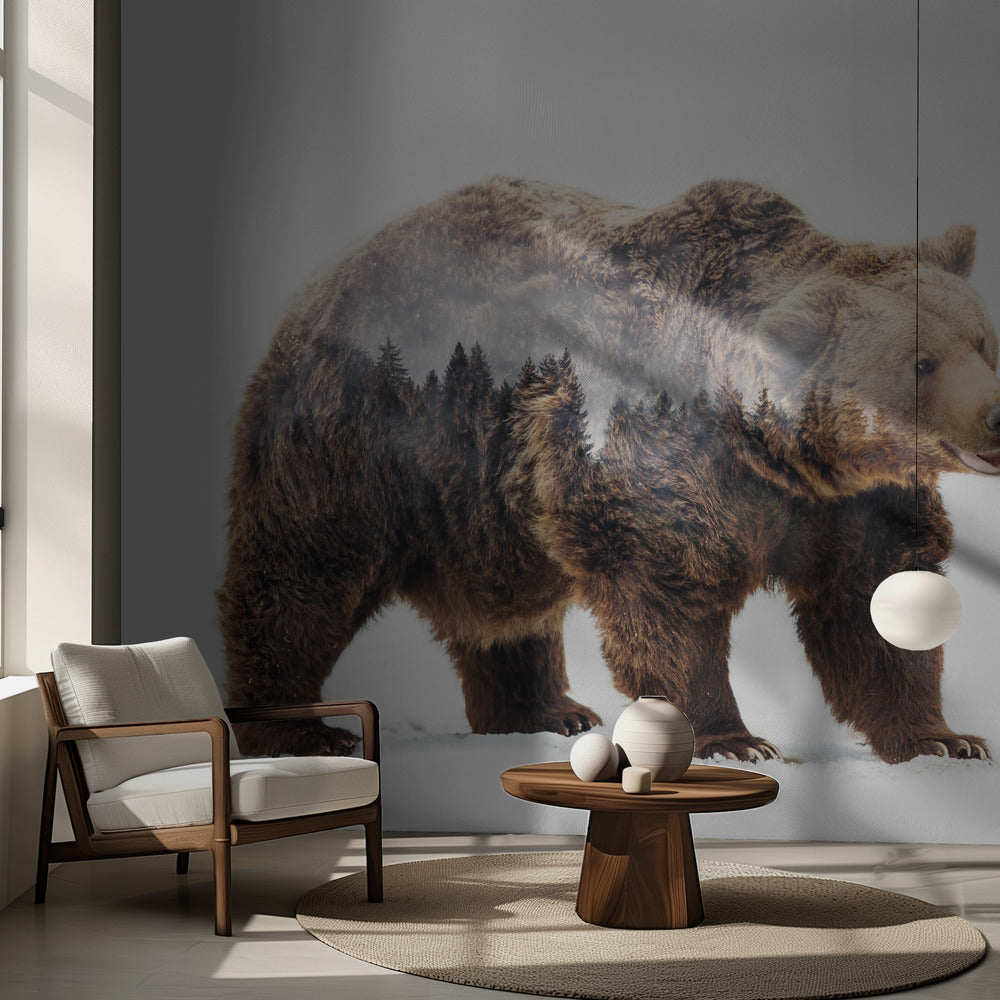 Karhu | Valokuvatapetit