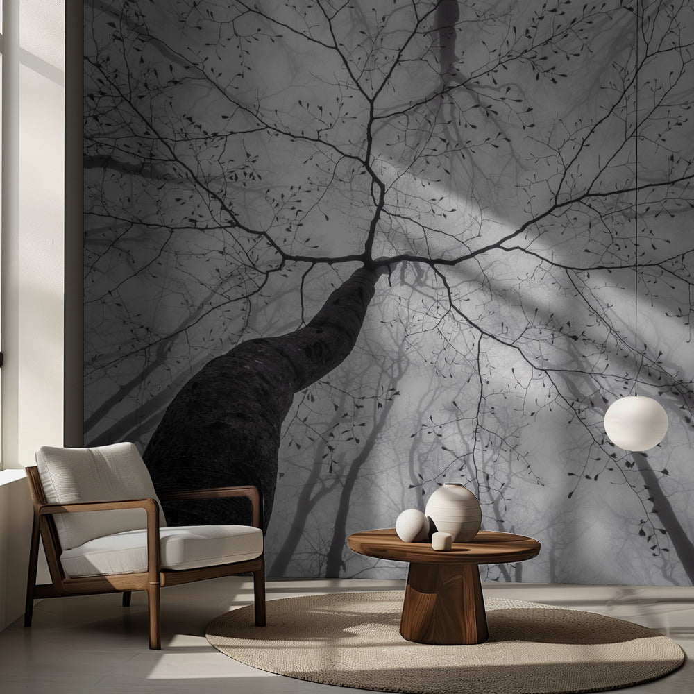 Udsigt over trækronen | Fototapeter