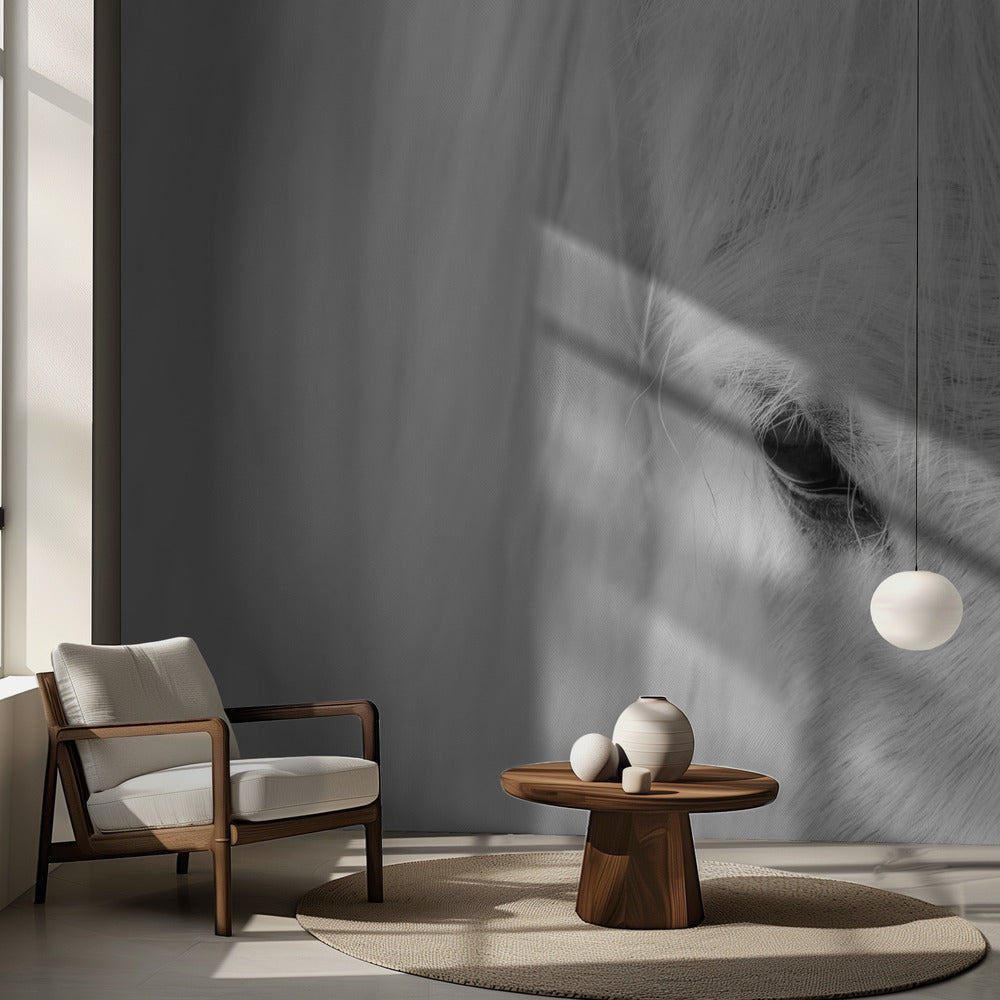 Szept Islandii | Fototapeta