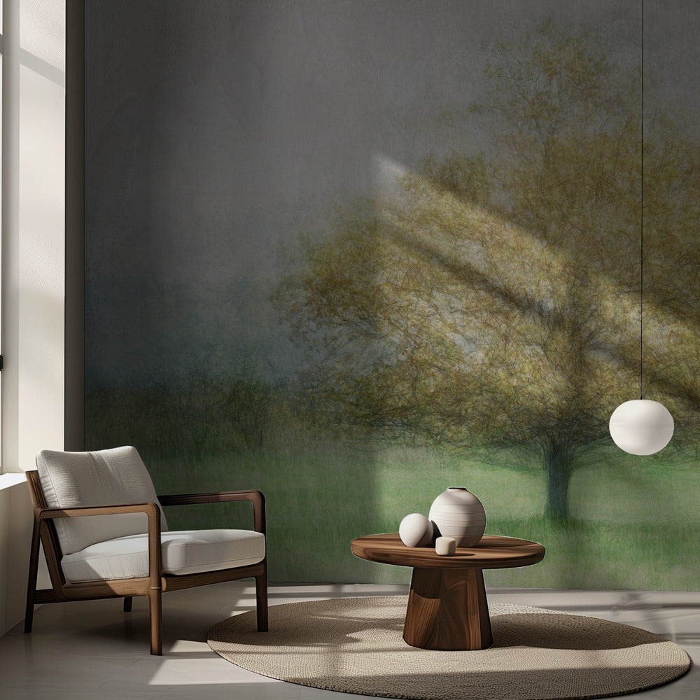 Solitär | Fototapeten