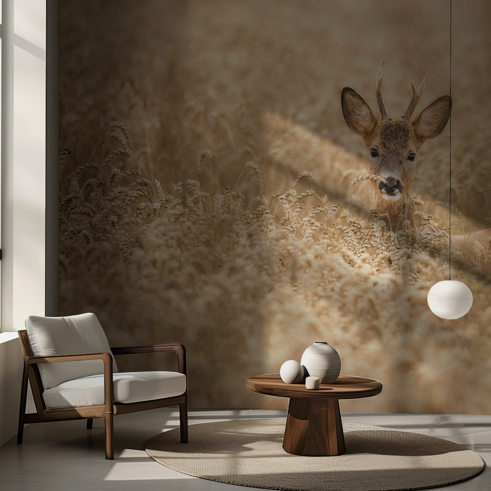 Deer in the field | Wallpaper