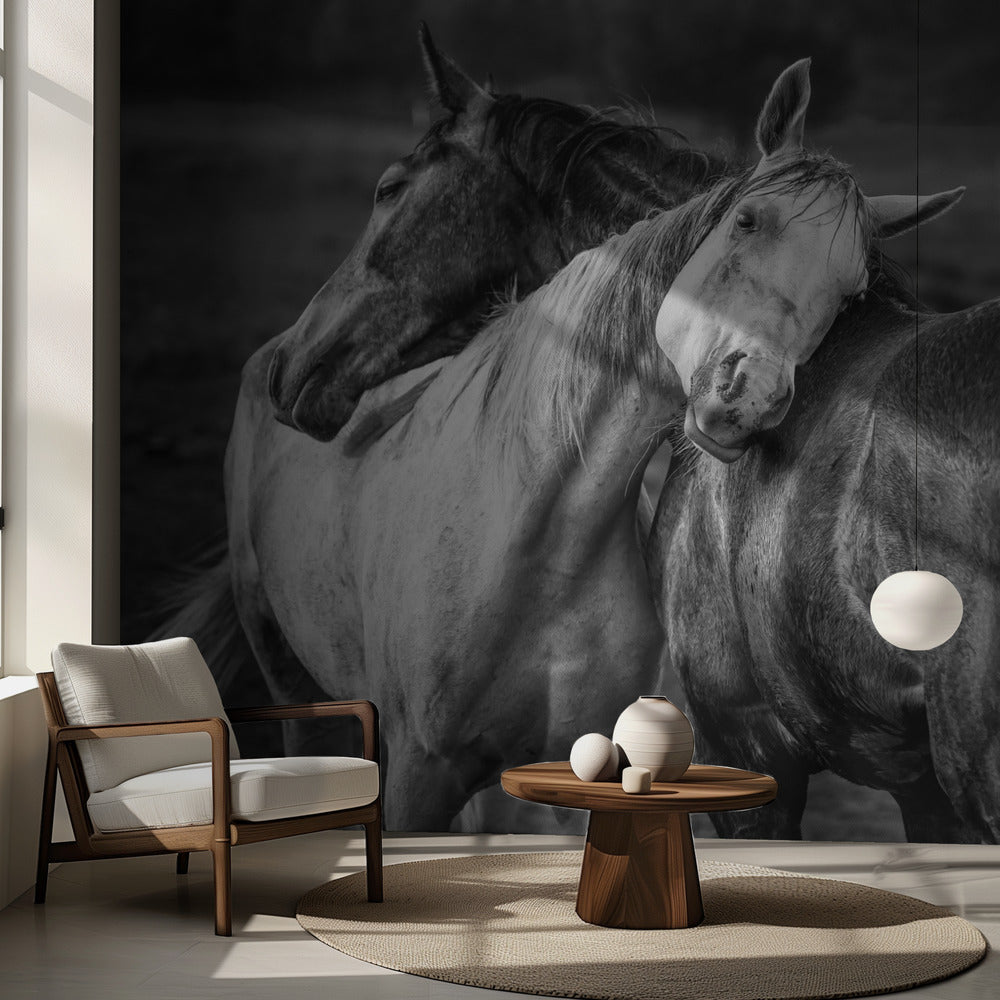 Lämmin sade | Valokuvatapetit