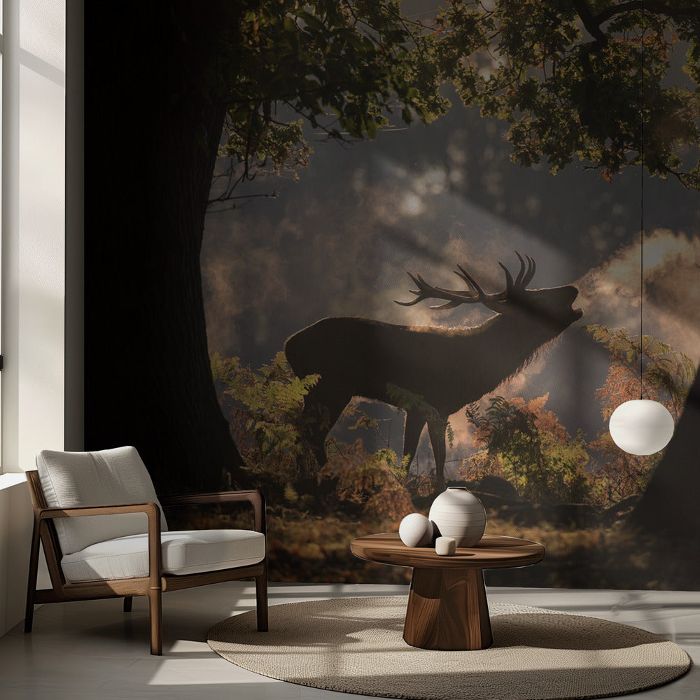 Él espera en las sombras | Papel Pintado Fotográfico