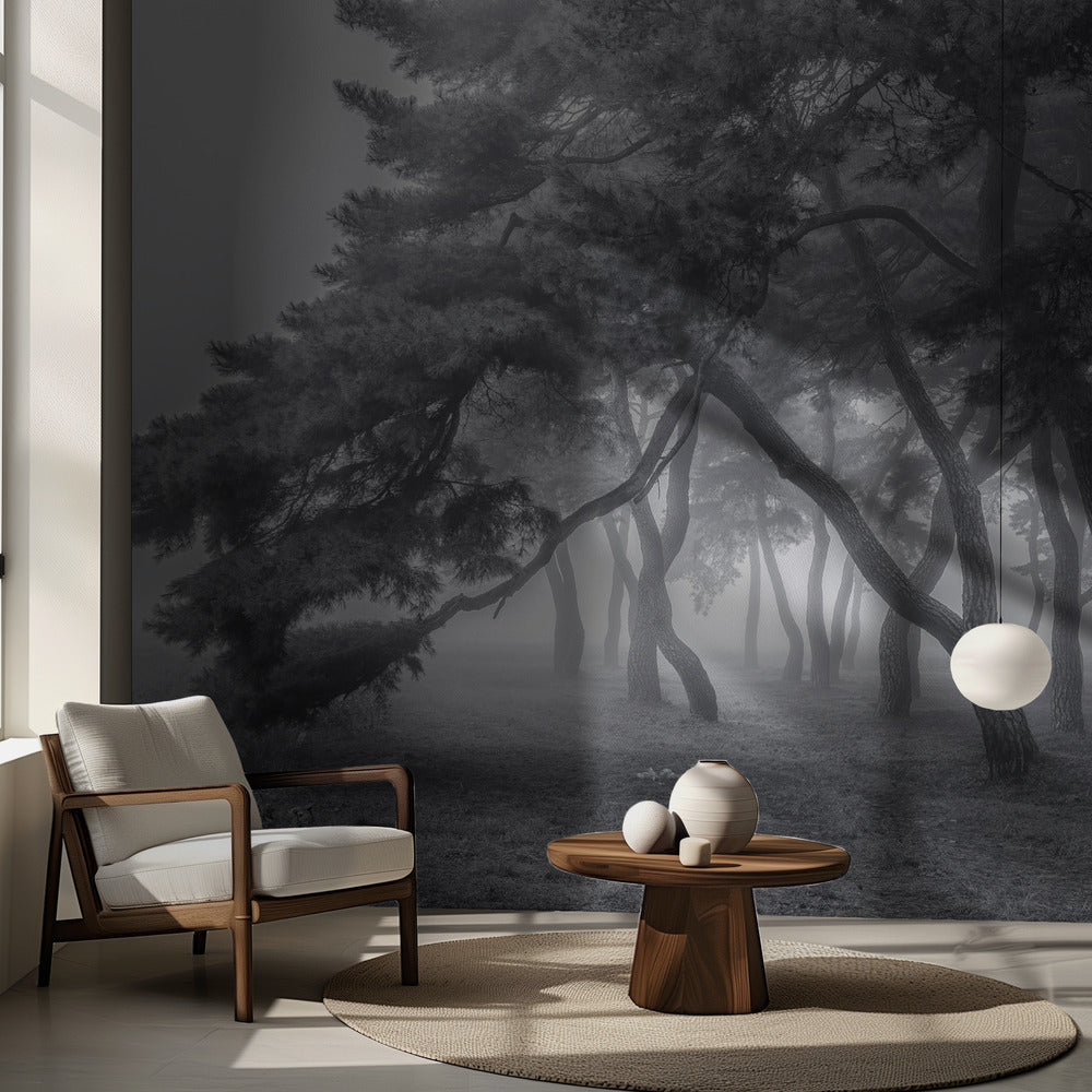 Toujours | Papier Peint Photo