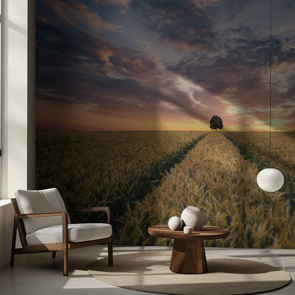 Unelmien kenttä | Valokuvatapetit