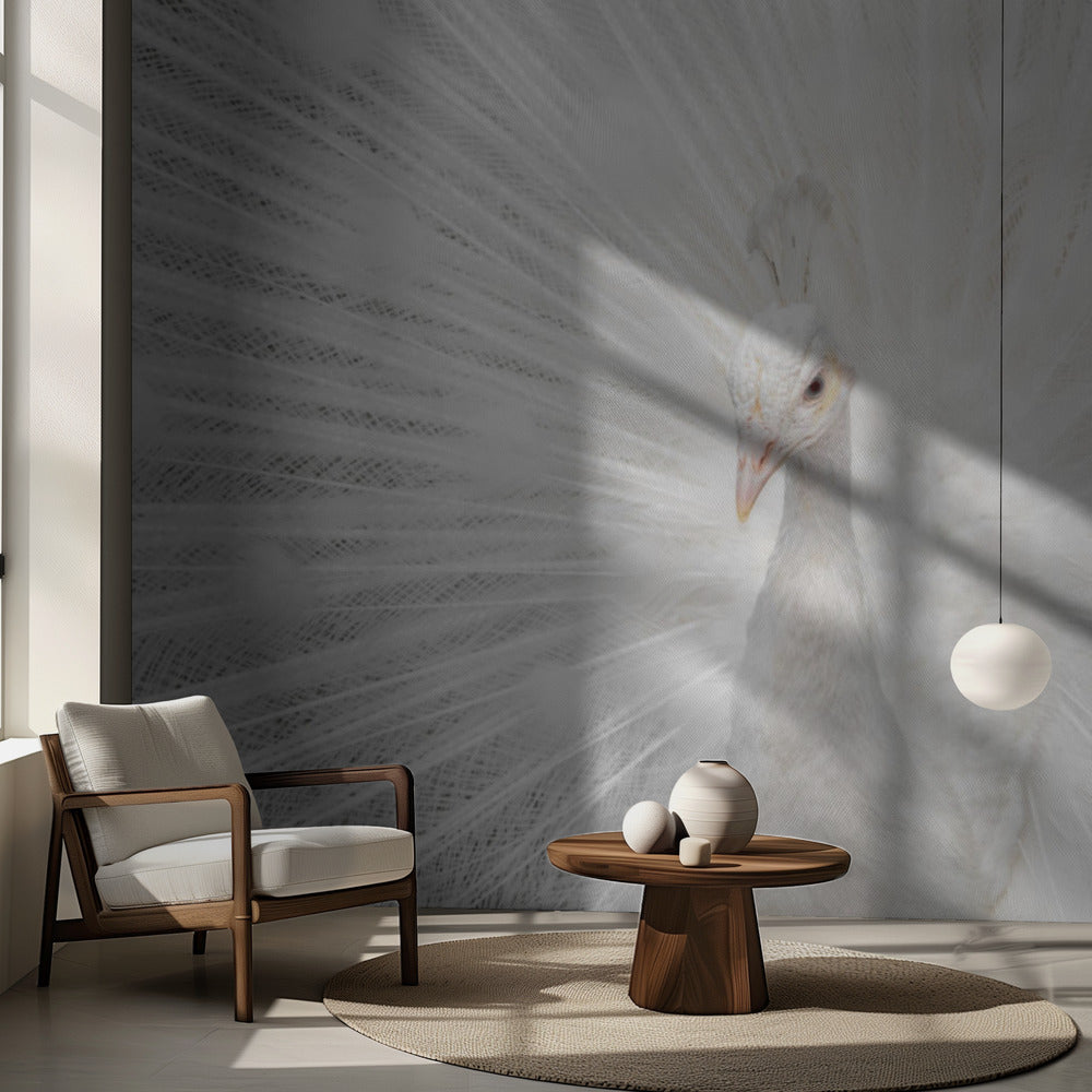 Prächtiger Weißer | Fototapeten