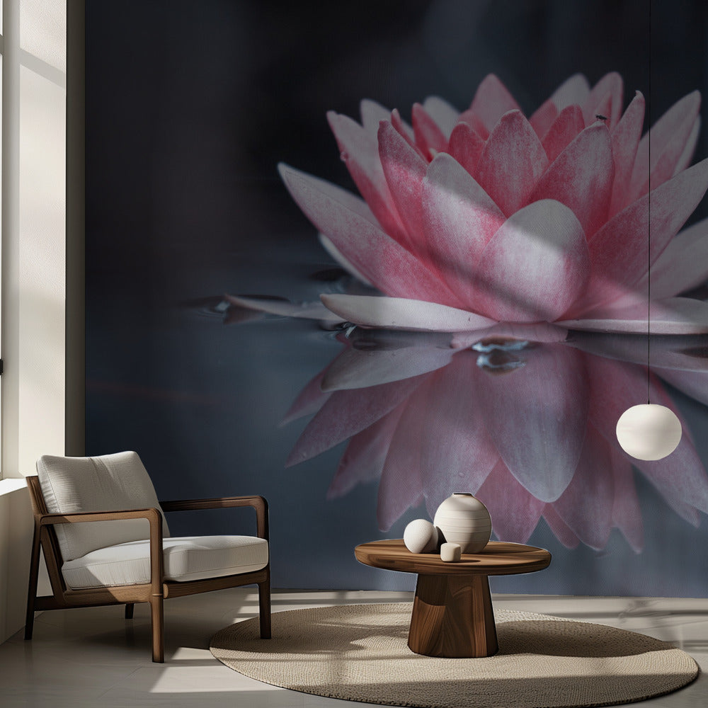 Padmasana | Valokuvatapetit