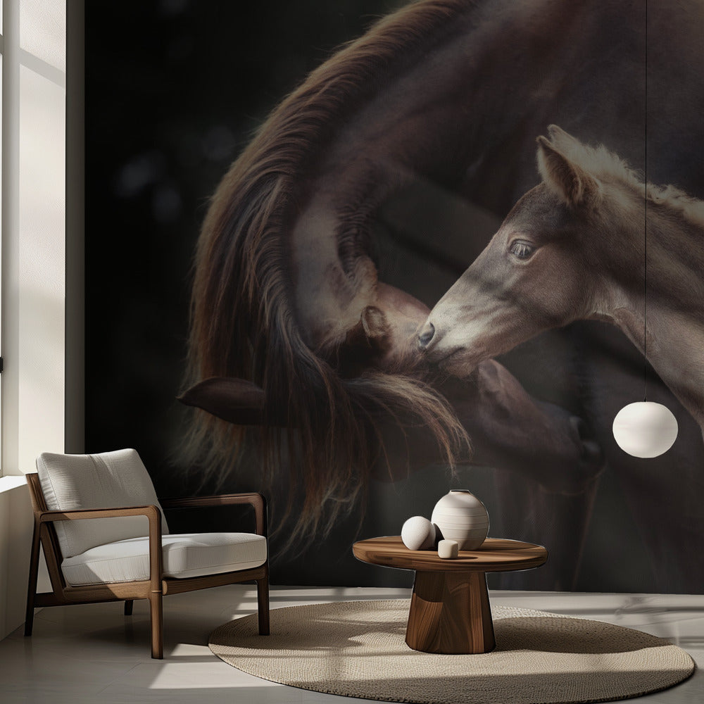 Bond | Valokuvatapetit