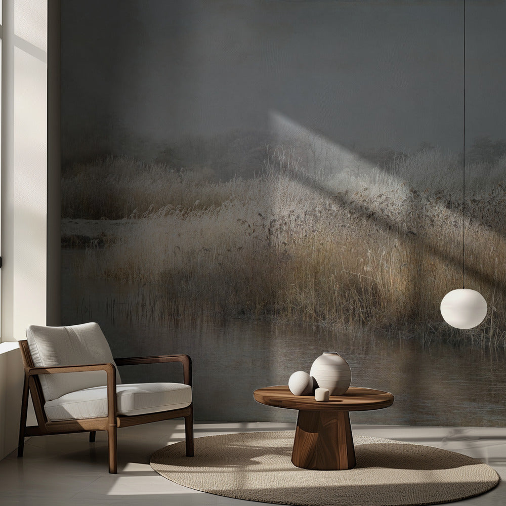 Talviaamu | Valokuvatapetit