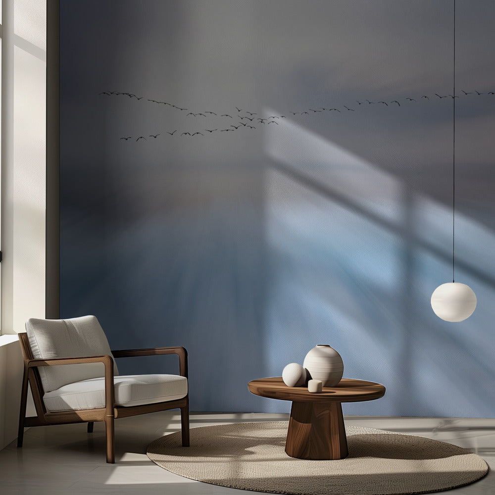 lentää yli | Valokuvatapetit