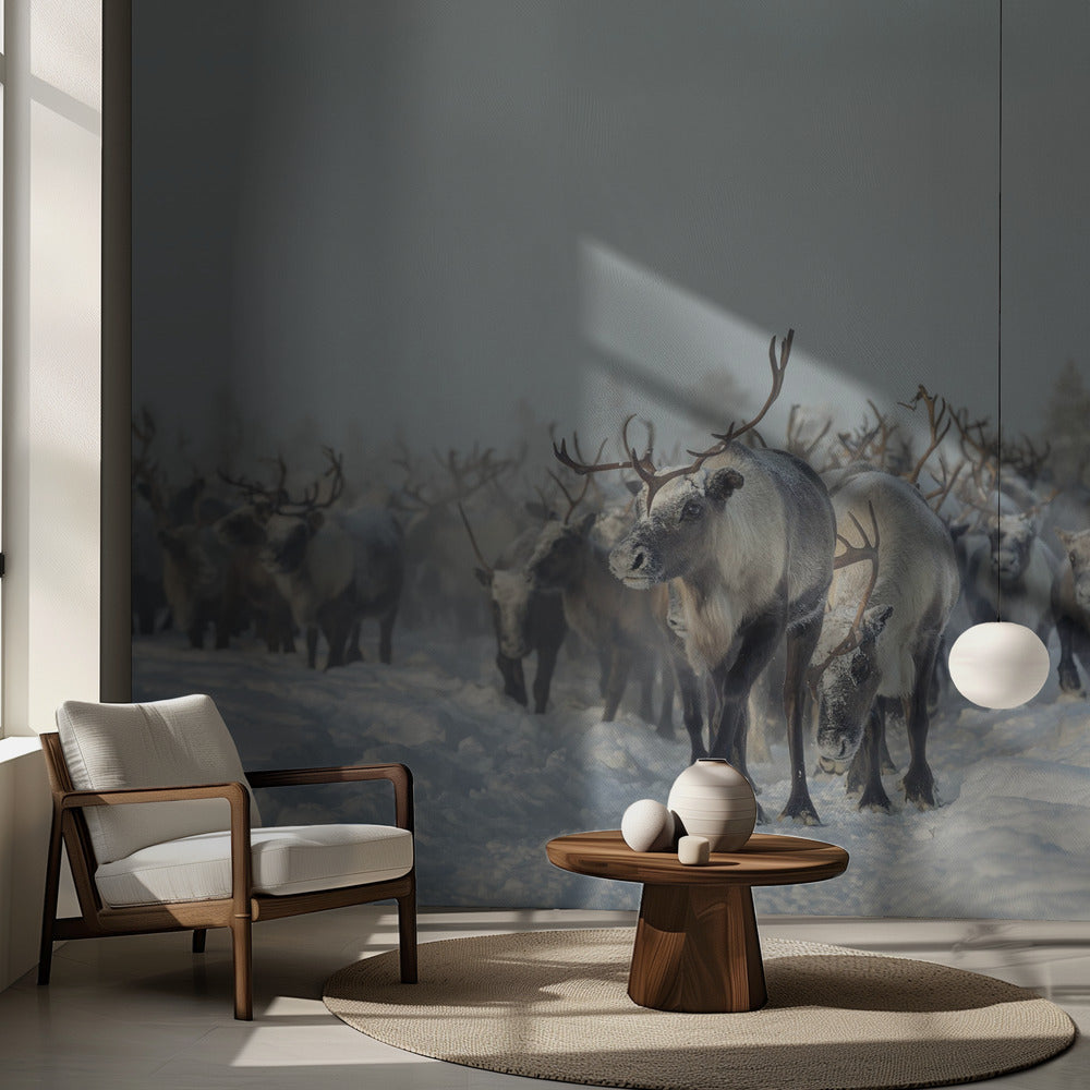 renos Papel Pintado Fotográfico