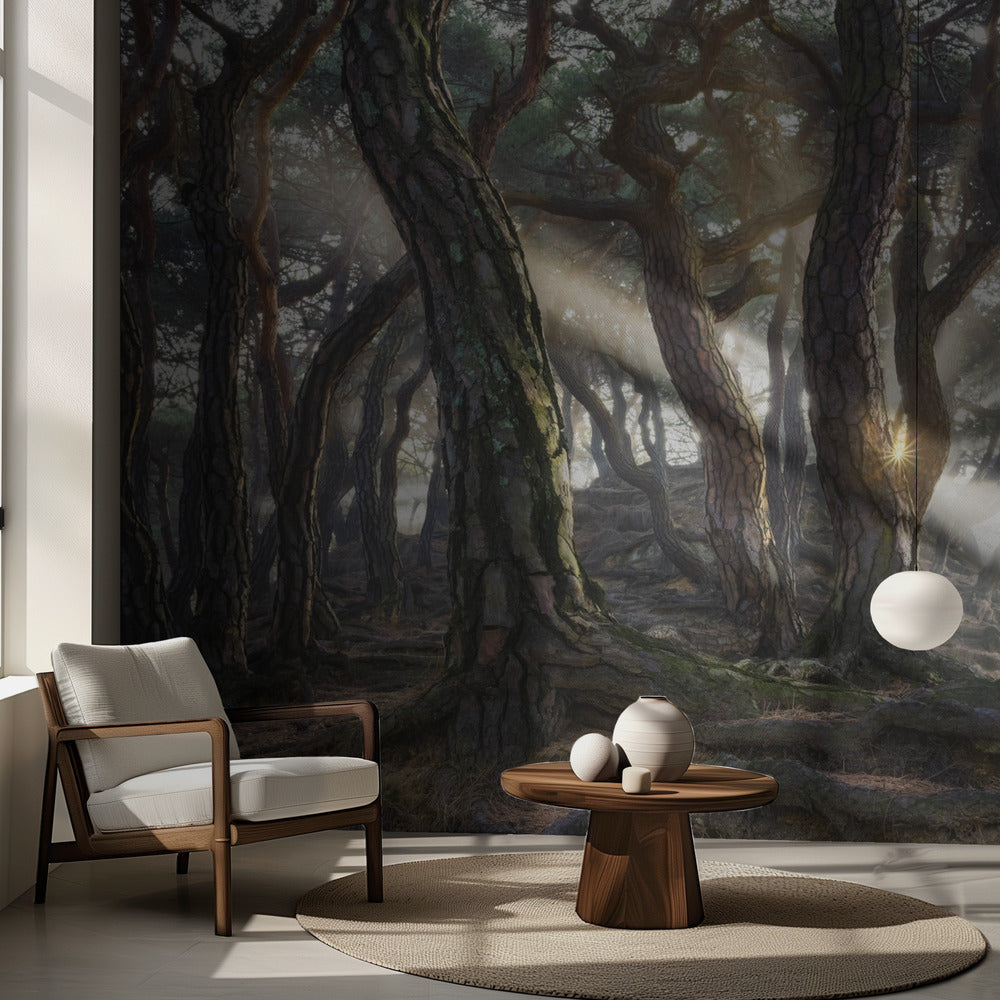 Hellige fyrretræer | Fototapeter