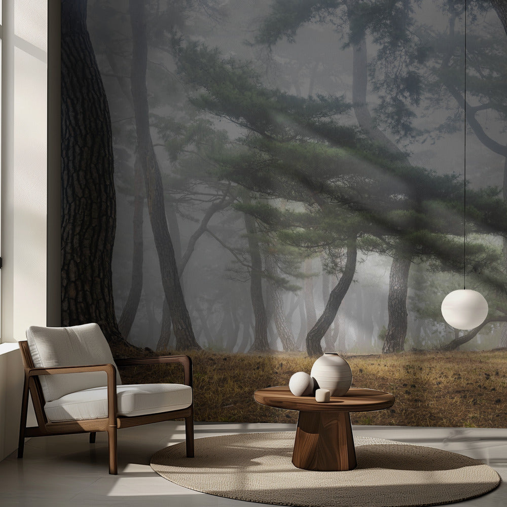 En el brumoso bosque de pinos | Papel Pintado Fotográfico