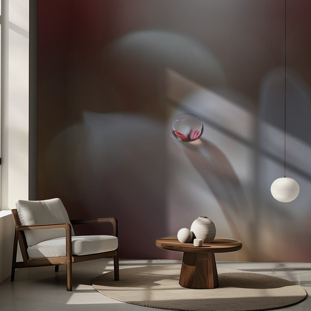 Enigma.. | Papel Pintado Fotográfico