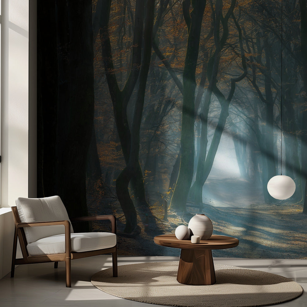 Luz fría | Papel Pintado Fotográfico