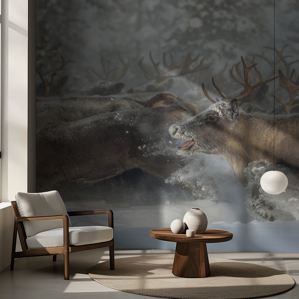 Reindeers III | Wallpaper
