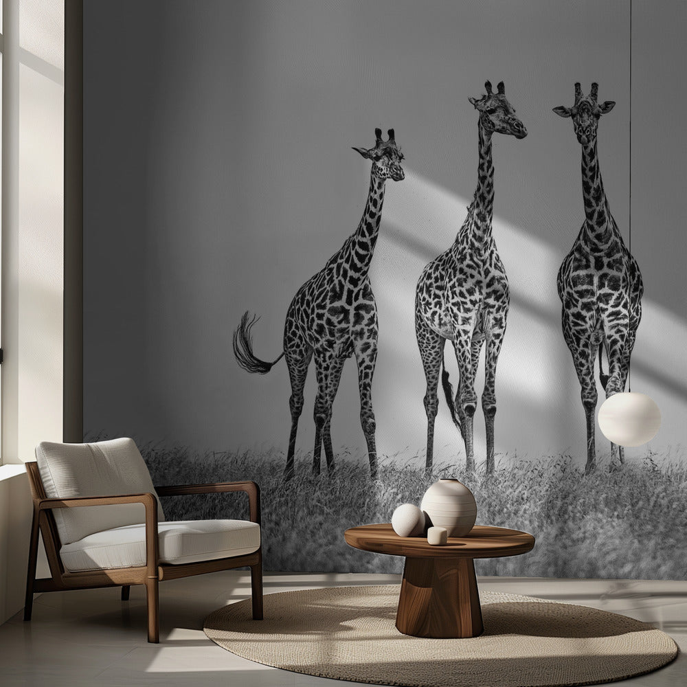 Kirahveja Maran tasangoilla | Valokuvatapetit