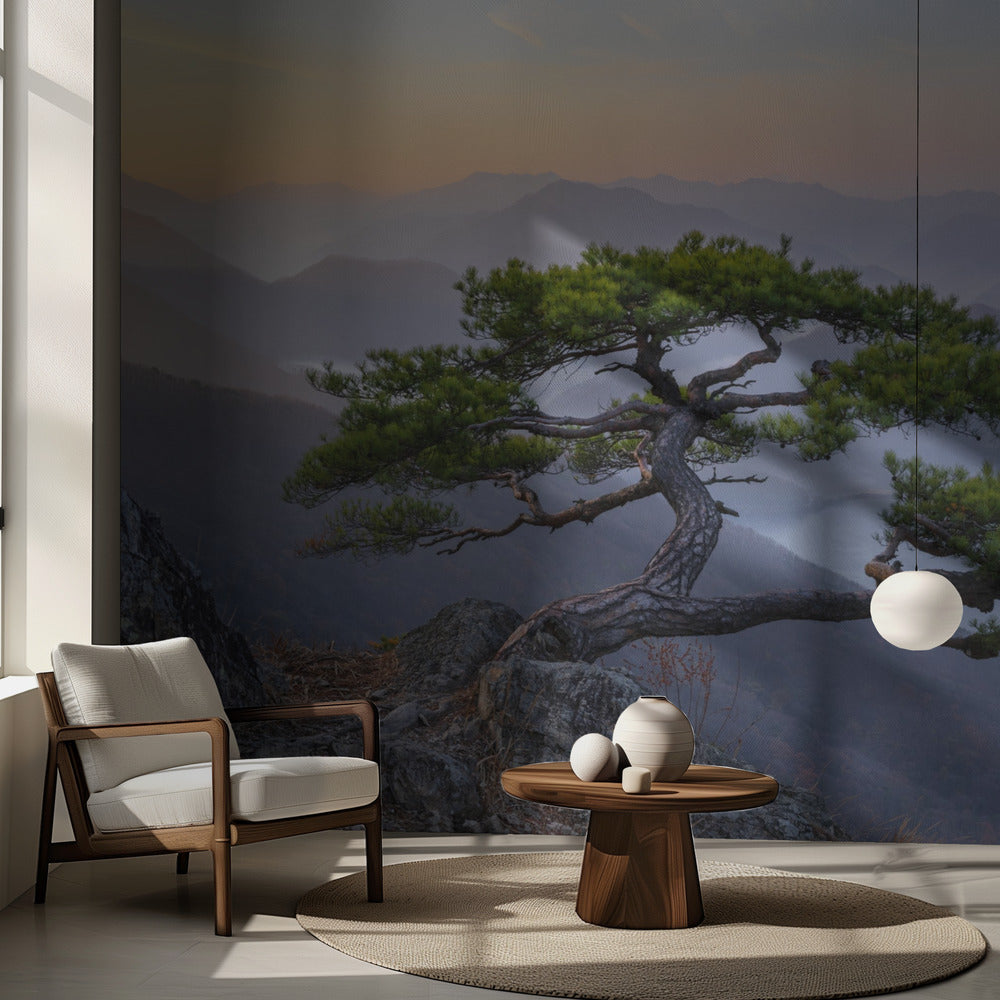 Kun päivä sarastaa | Valokuvatapetit