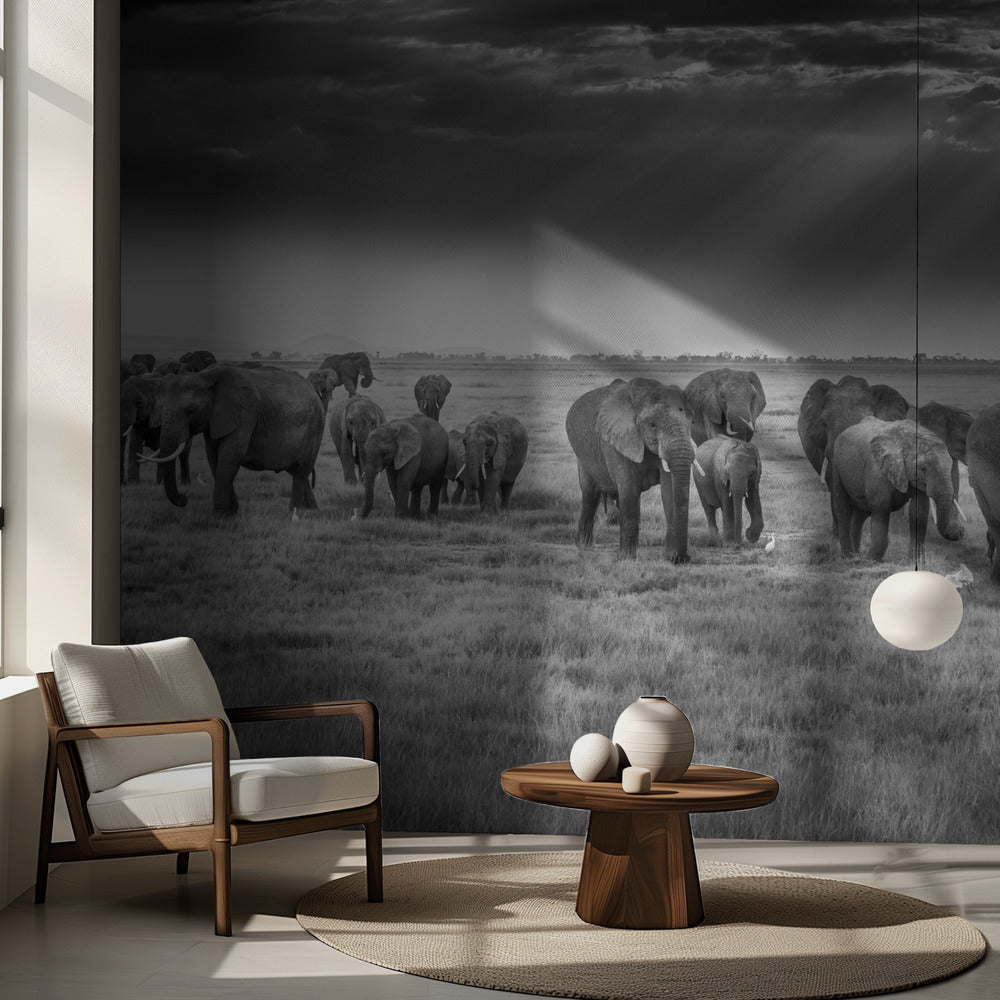 Aamiainen pachydermien kanssa | Valokuvatapetit