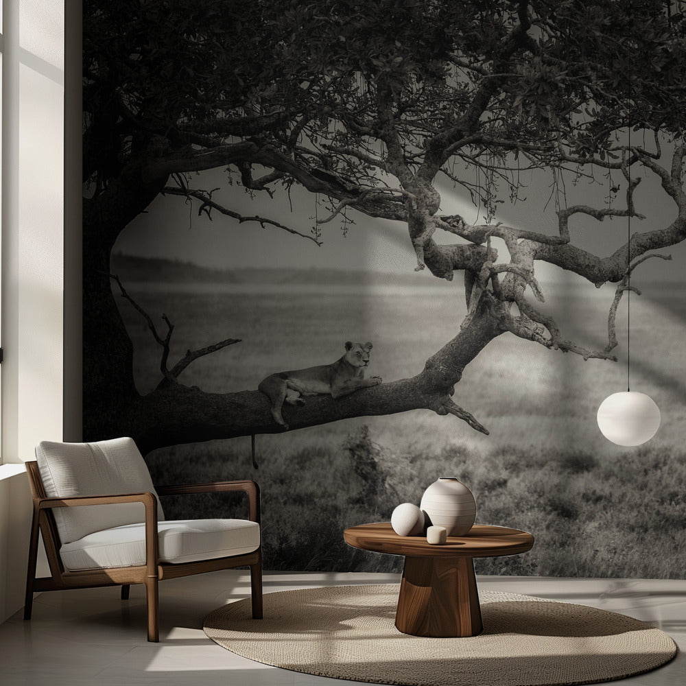 Kuningatar | Valokuvatapetit