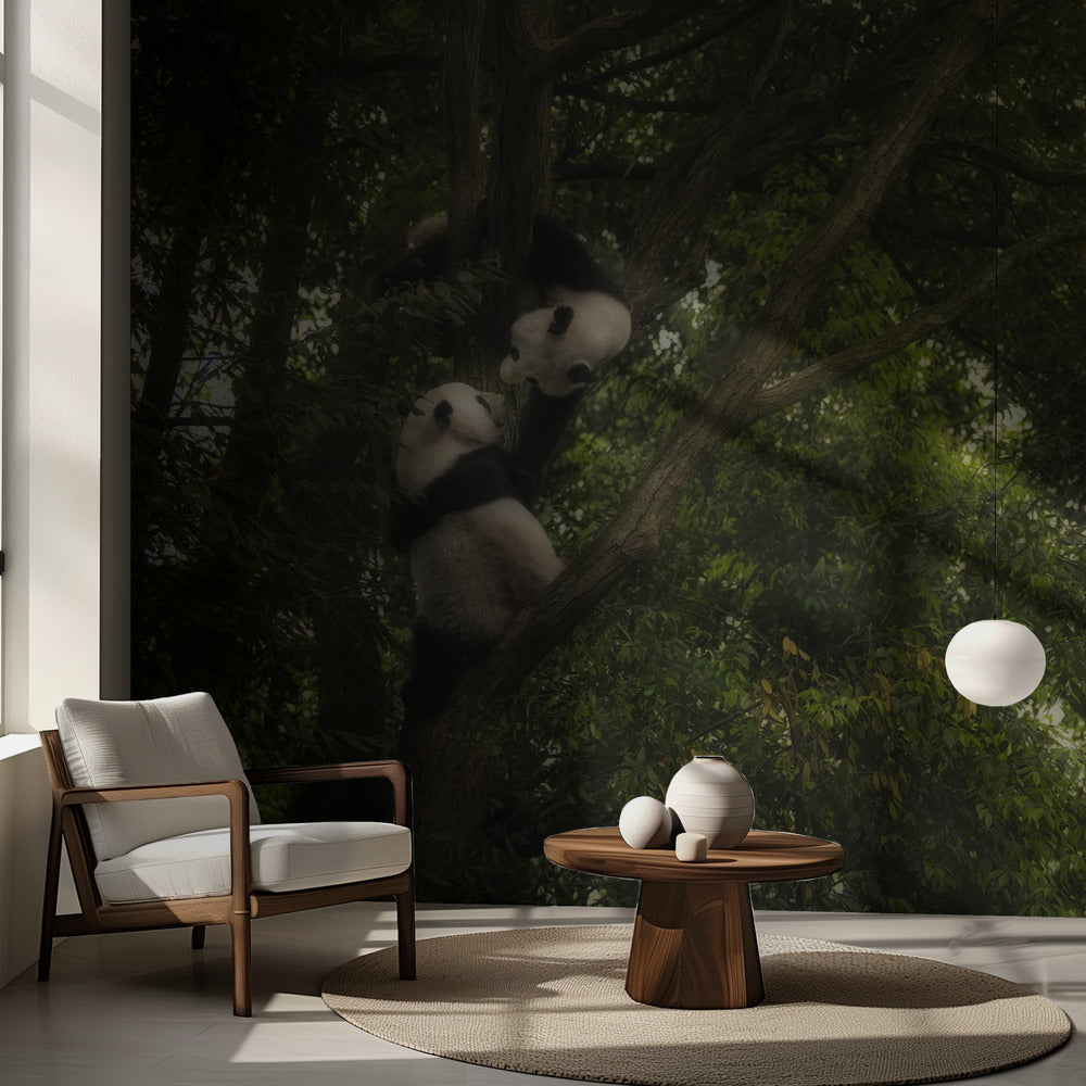 Panda | Papel Pintado Fotográfico