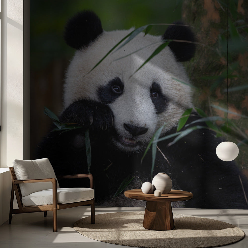 Tiempo de bambú | Papel Pintado Fotográfico