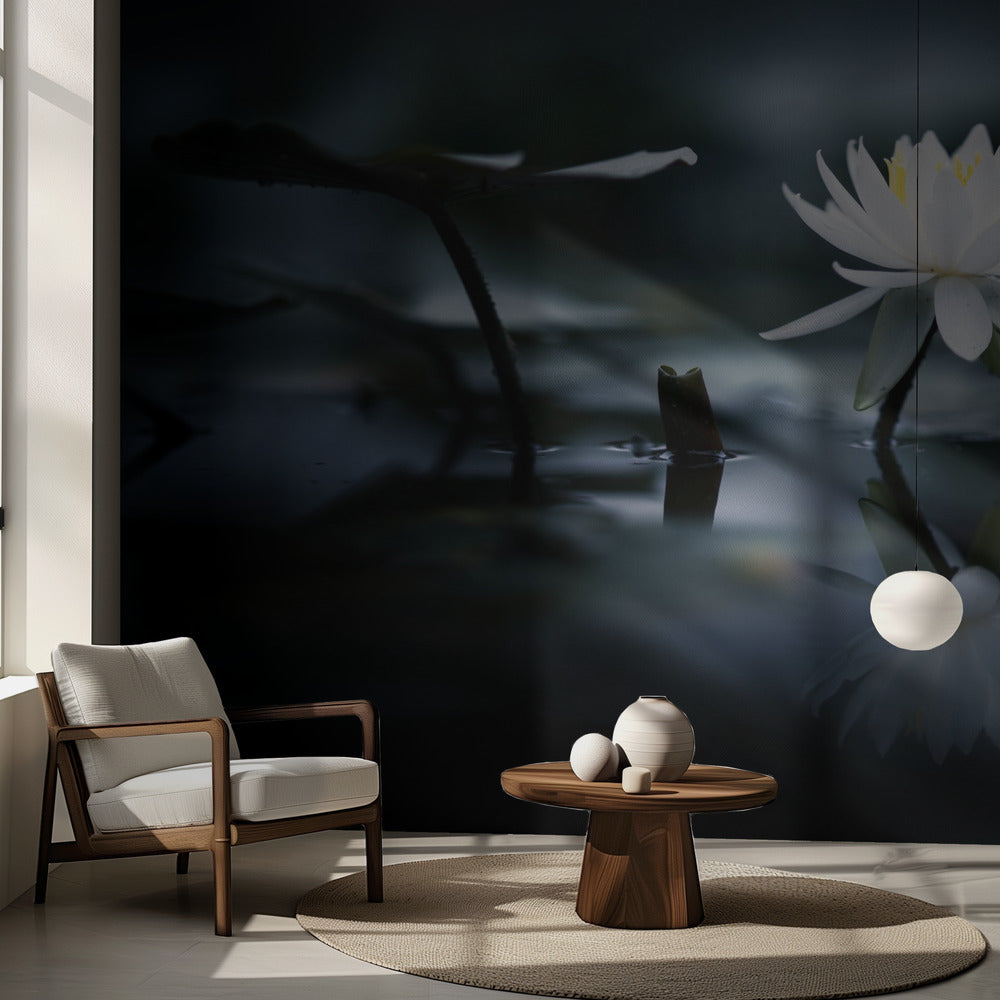 Heijastus | Valokuvatapetit