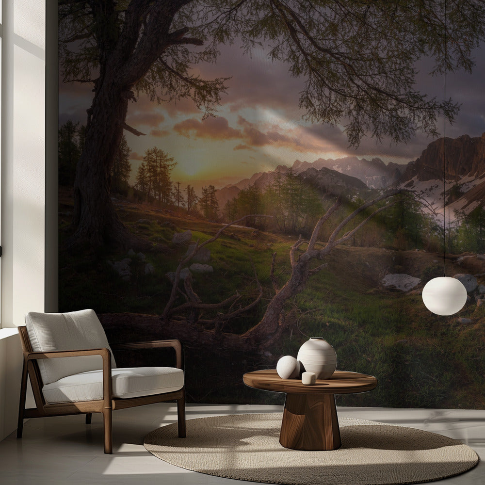 Maaginen aamu | Valokuvatapetit