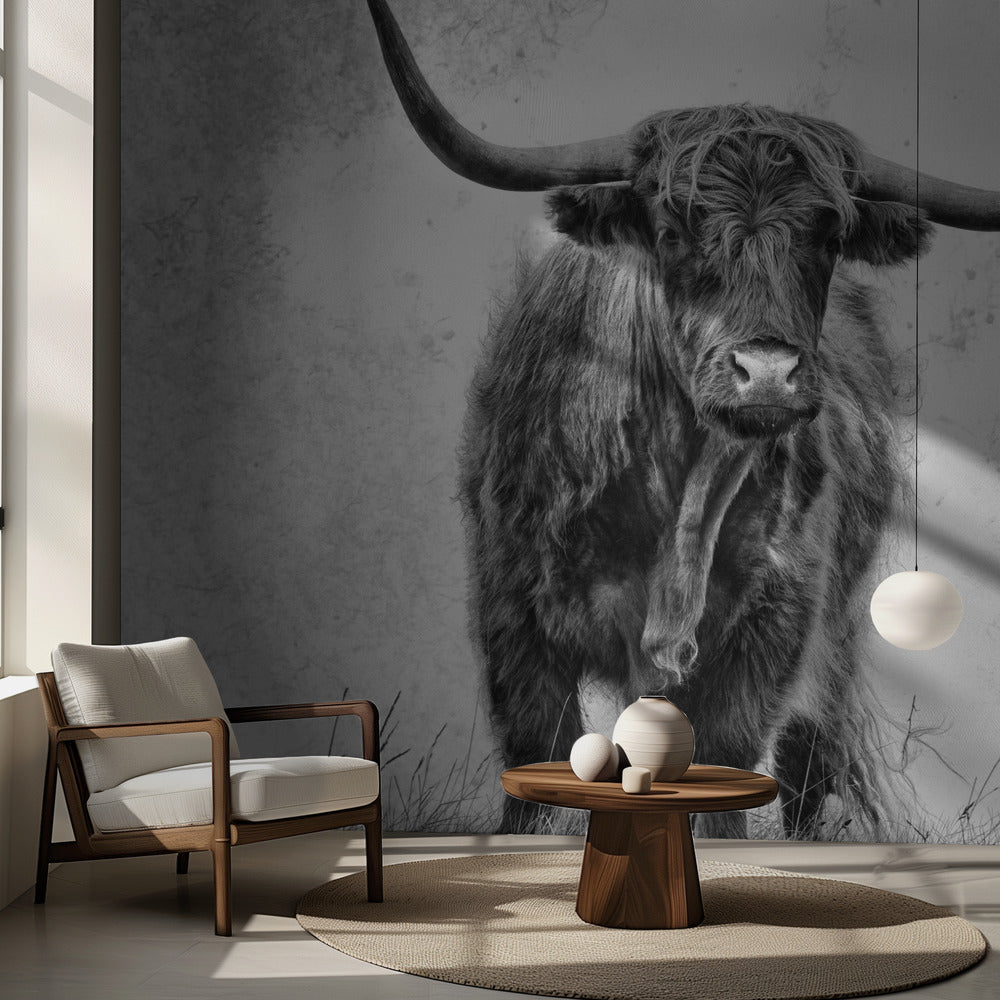 Voima | Valokuvatapetit