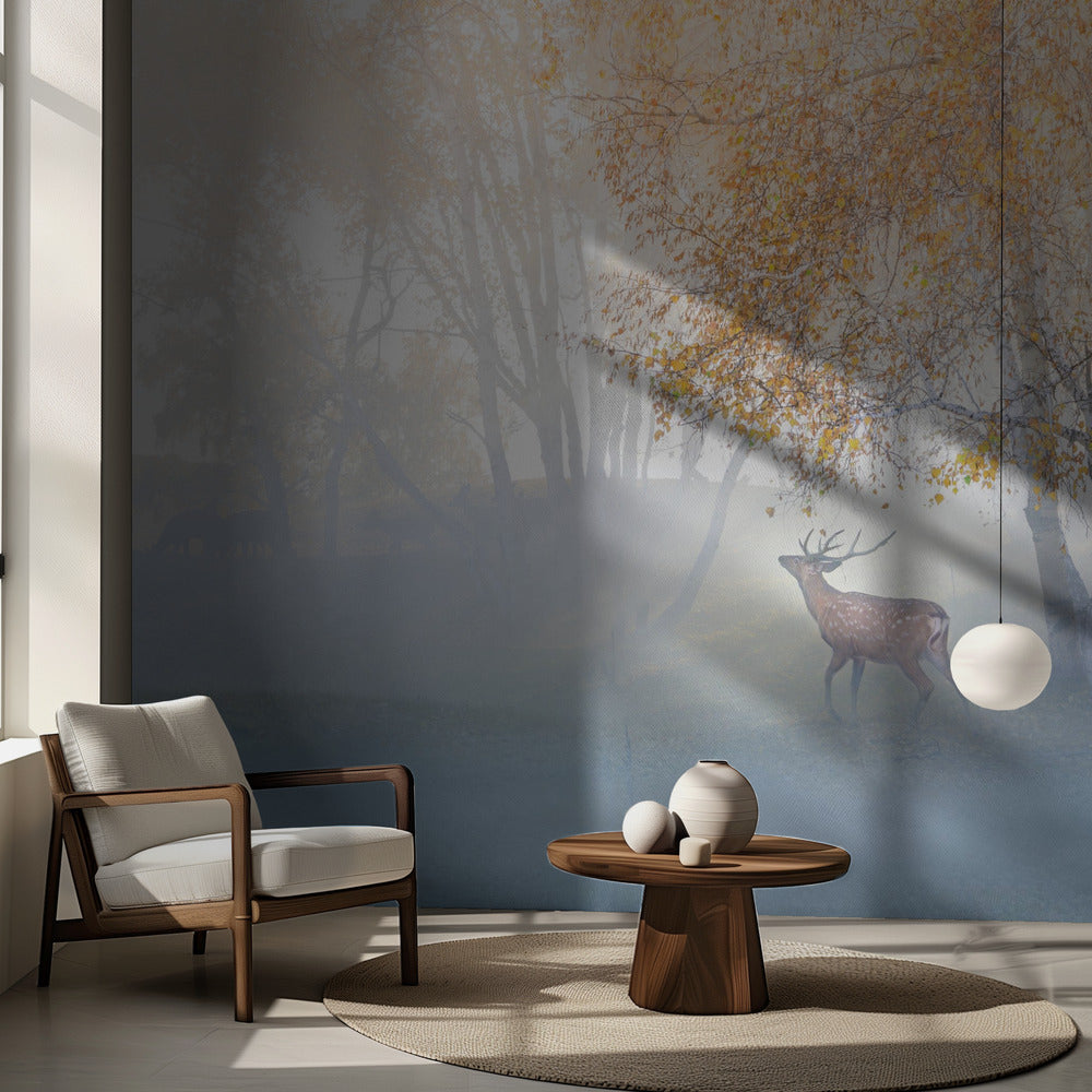 Hirvi eksyksissä sumussa | Valokuvatapetit