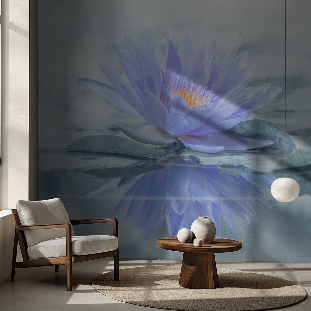 Heijastus | Valokuvatapetit