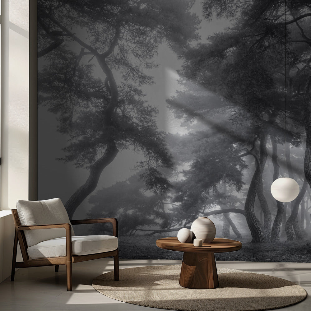 Kestää sata vuotta | Valokuvatapetit