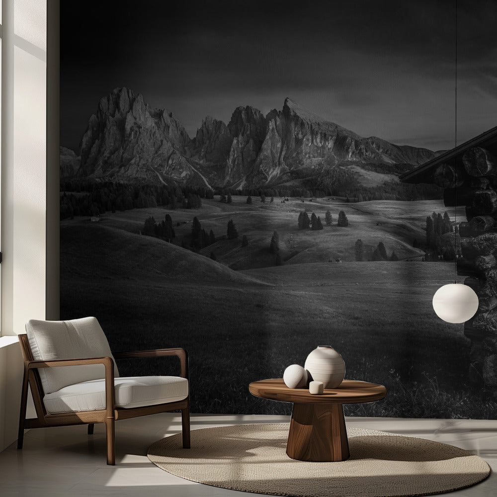 Nimetön | Valokuvatapetit