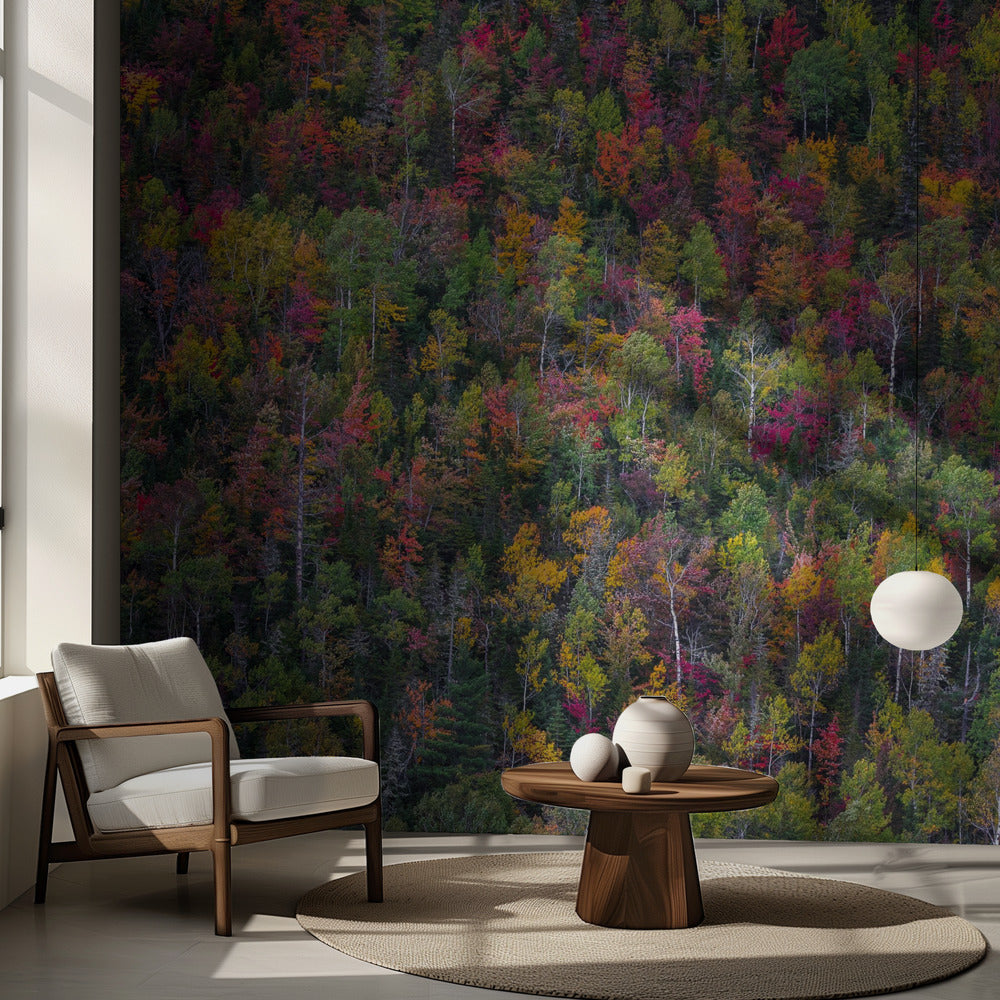 Color palette | Wallpaper
