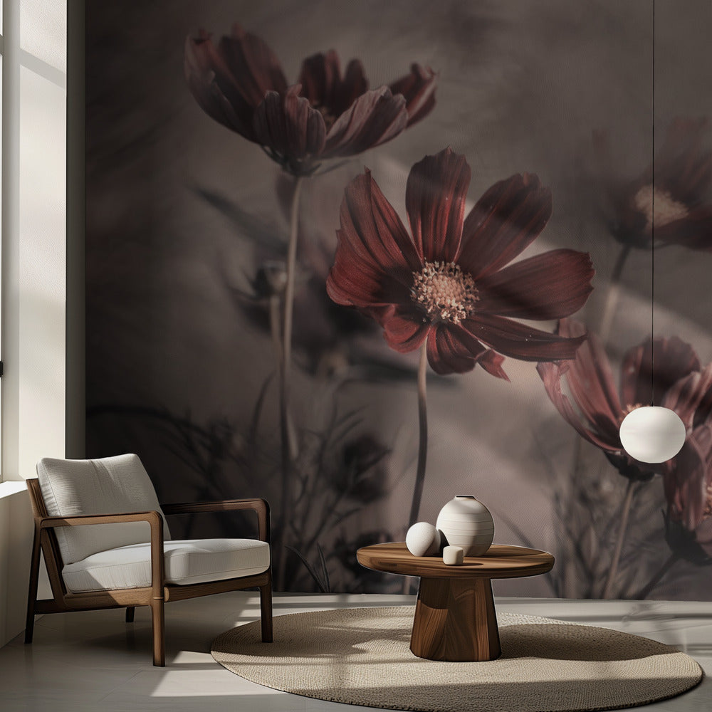 Kosmos 2019 | Valokuvatapetit