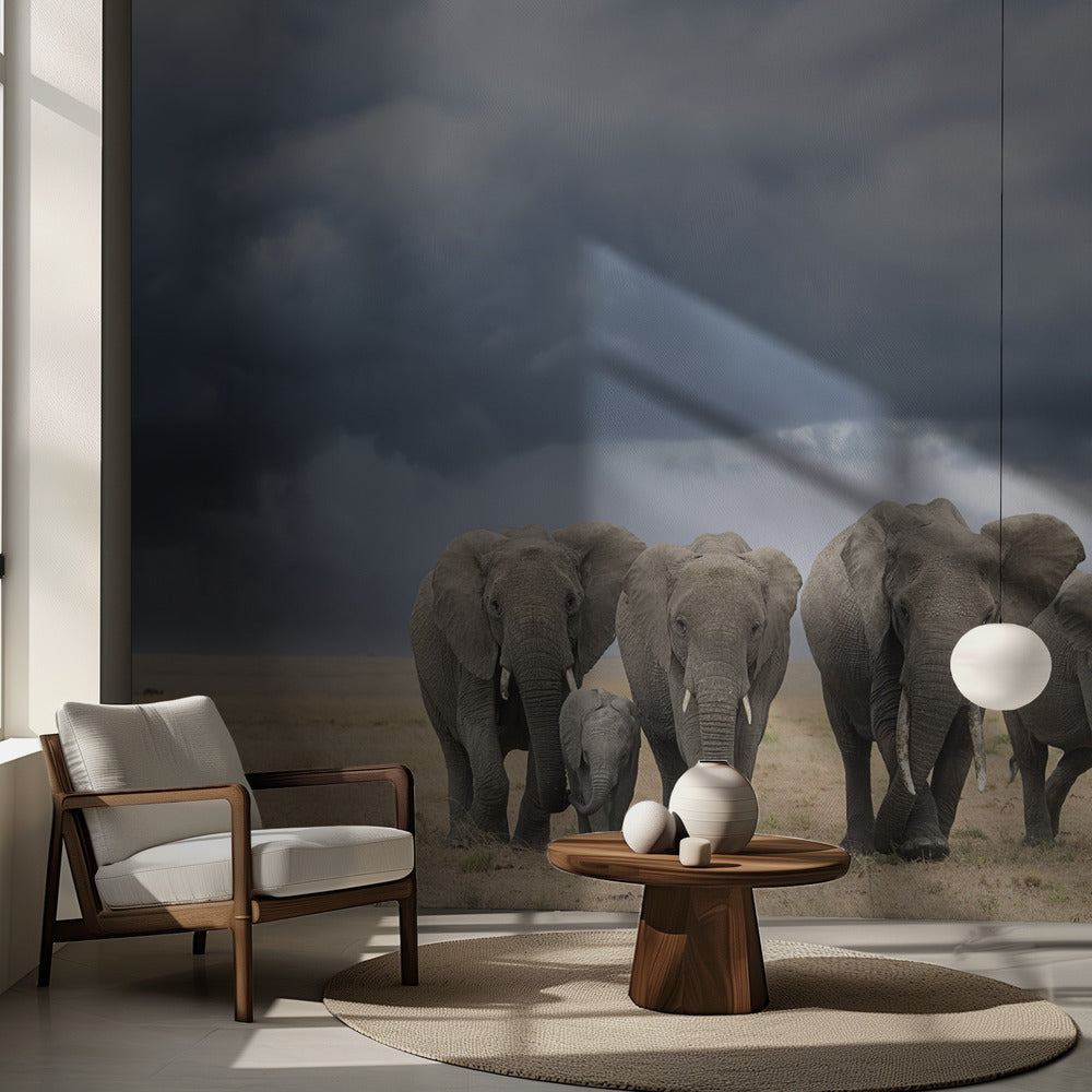 Norsujen kävelyretki | Valokuvatapetit