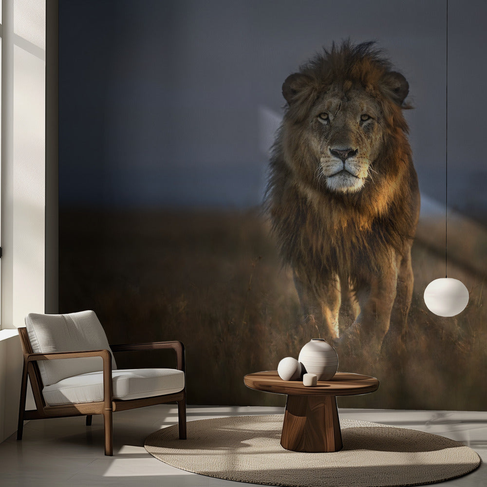 Leijona lähikuvassa | Valokuvatapetit