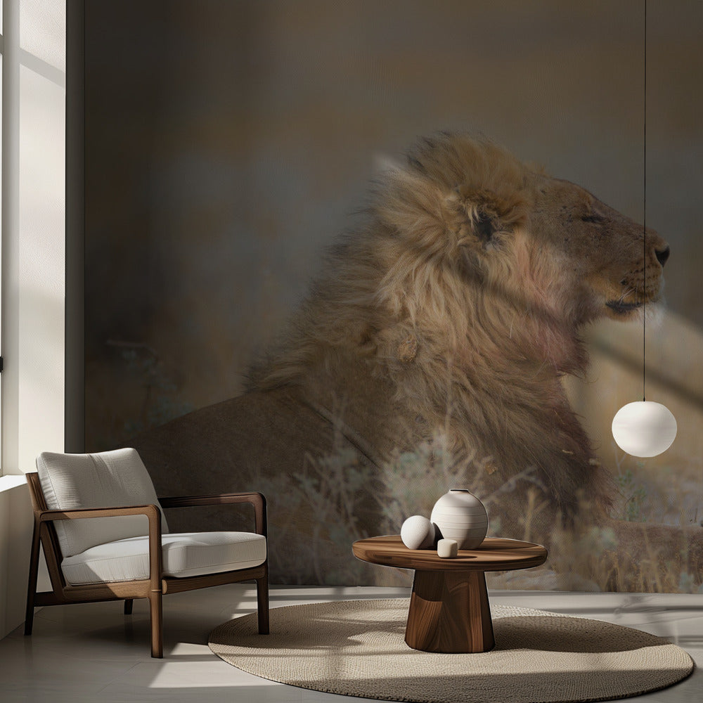 Male lion with cub | Wallpaper