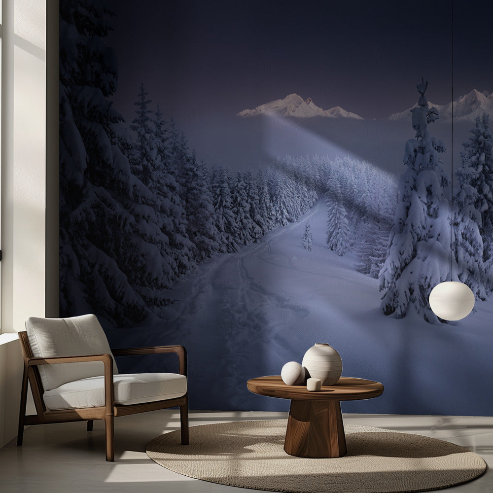 Talvella | Valokuvatapetit