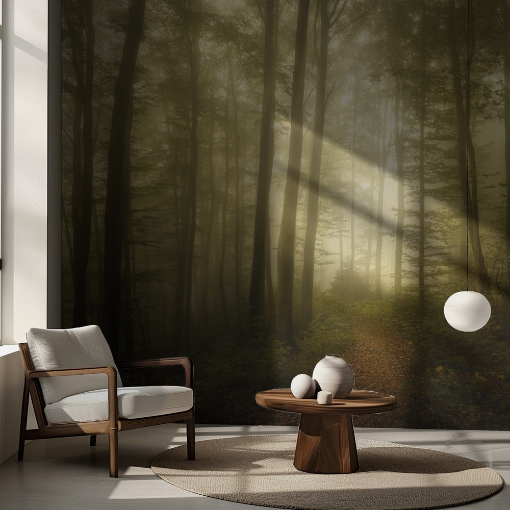 Katoavaisuuden viehätys | Valokuvatapetit